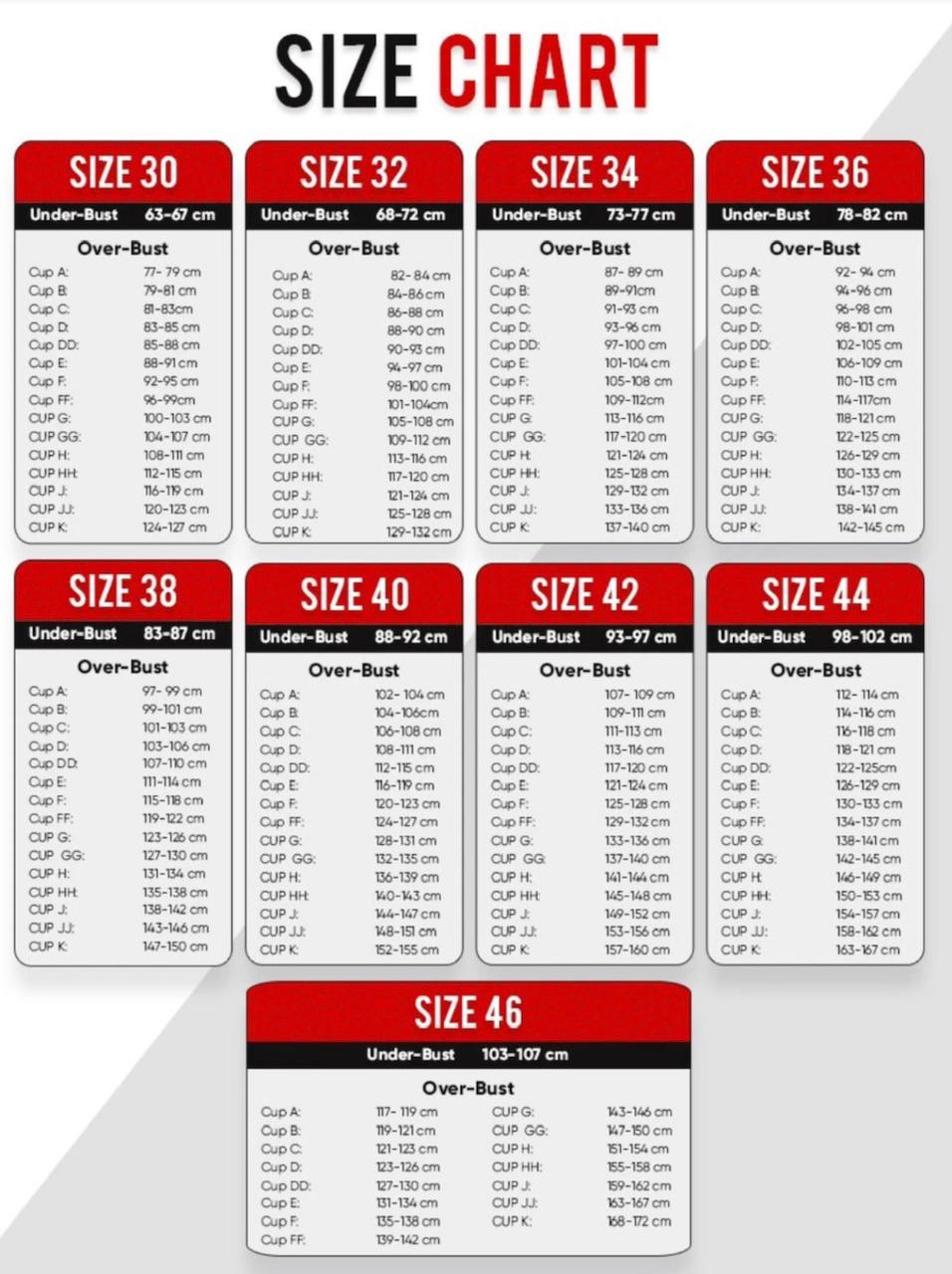 Mesh Curvy Lightly Padded T-Shirt Bra -BLACK